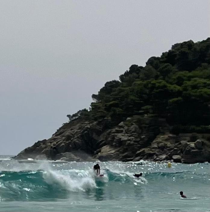 Apartamento En La Playa De La Fosca San Juan de Palamos Eksteriør billede